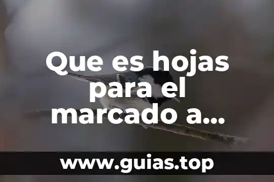 Que es la etiqueta de hojas en excel 5 Que es hojas para el marcado a fuego
