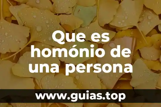 Que es el principio de pro persona 4 Que es homónio de una persona