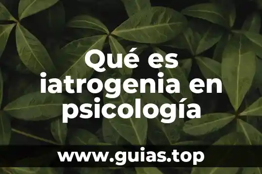 Qué es una palmera árbol o planta 5 Qué es iatrogenia en psicología