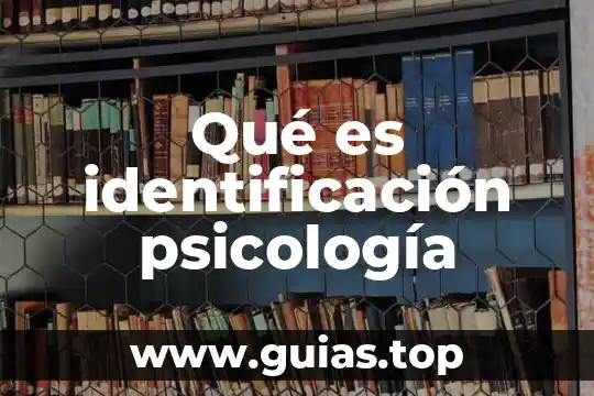 Que es el número de identificación de cuenta ivr 8 Qué es identificación psicología