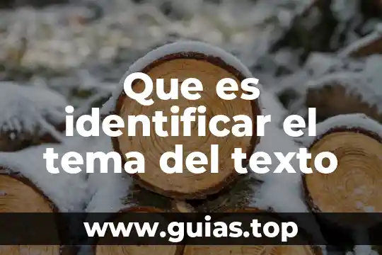 Qué es un concepto importante de algún tema 6 Que es identificar el tema del texto