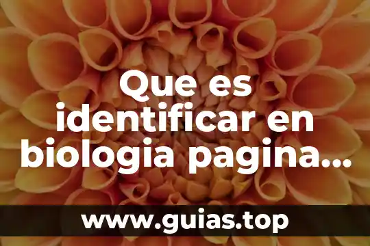 Qué es filética en biología 8 Que es identificar en biologia pagina cientifica