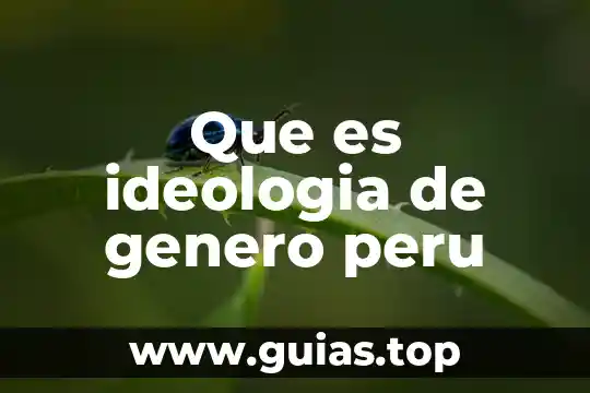 Que es la violencia de genero animado 3 Que es ideologia de genero peru