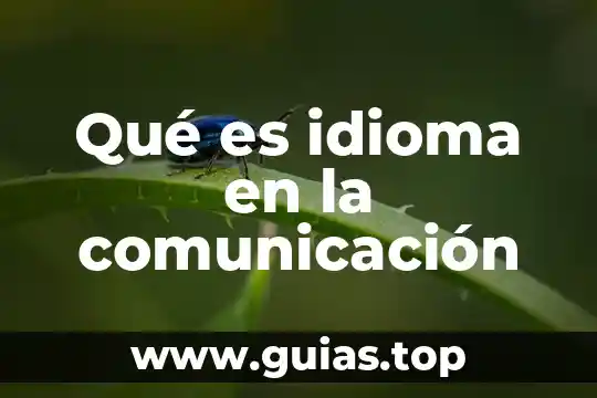 Qué es ontología de la comunicación 5 Qué es idioma en la comunicación