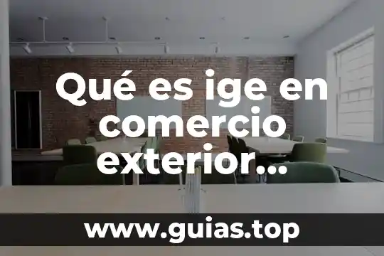 Qué es un número exterior 3 Qué es ige en comercio exterior cálculo
