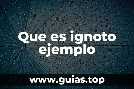 Que es el concepto pasivo en contabilidad ejemplo 5 Que es ignoto ejemplo