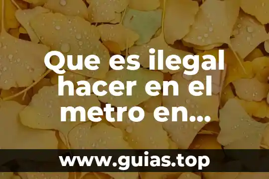 Qué es ser persona scielo 6 Que es ilegal hacer en el metro en mexico