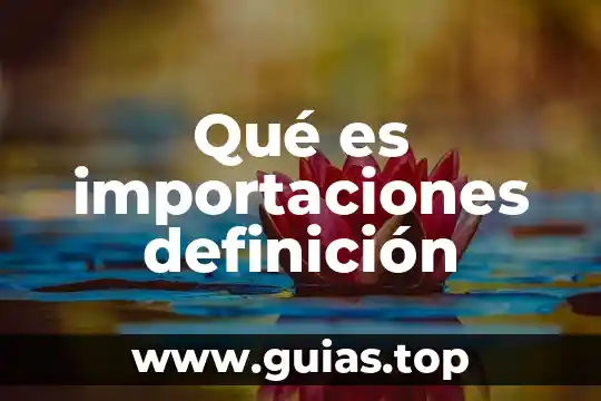 Qué es internet fijo definición cad 7 Qué es importaciones definición
