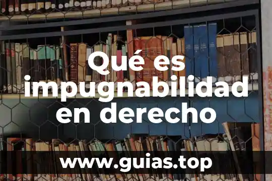 Que es una persona barco 8 Qué es impugnabilidad en derecho
