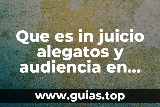 Para que es la audiencia de control de la detencion 3 Que es in juicio alegatos y audiencia en materia penal