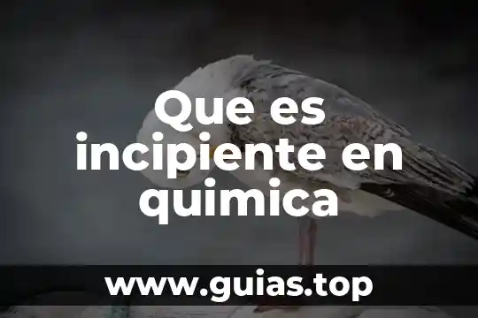 Que es la quimica bioquimica concepto 8 Que es incipiente en quimica