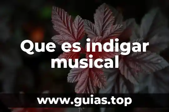Que es un epiclesis del sol 7 Que es indigar musical