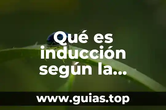 Qué es inducción electromagnética según Faraday 7 Qué es inducción según la filosofía