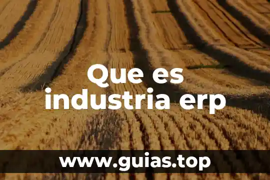 Qué es energía cinética resumen 6 Que es industria erp