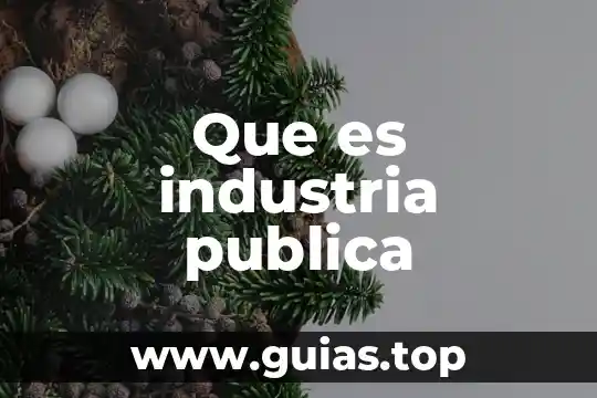 Que es industria publica