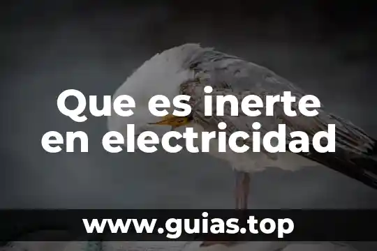 Que es un instrumento de electricidad 5 Que es inerte en electricidad