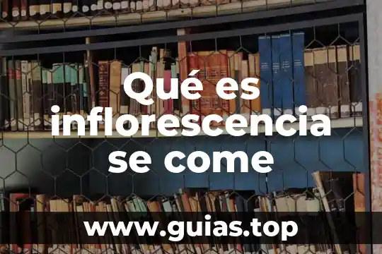 Qué es la criptomoneda en Venezuela definición 4 Qué es inflorescencia se come