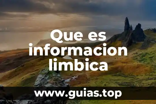 Que es el prosesamiento de informacion 8 Que es informacion limbica
