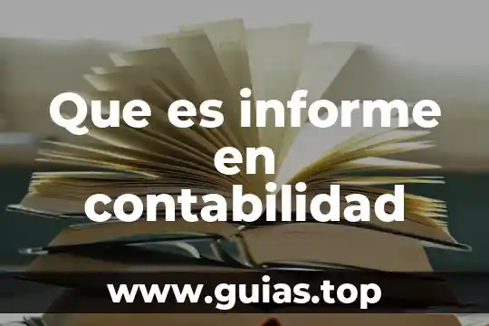 Qué es visión en un informe 4 Que es informe en contabilidad