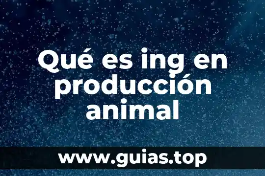 Qué es un concepto de internet cis 5 Qué es ing en producción animal