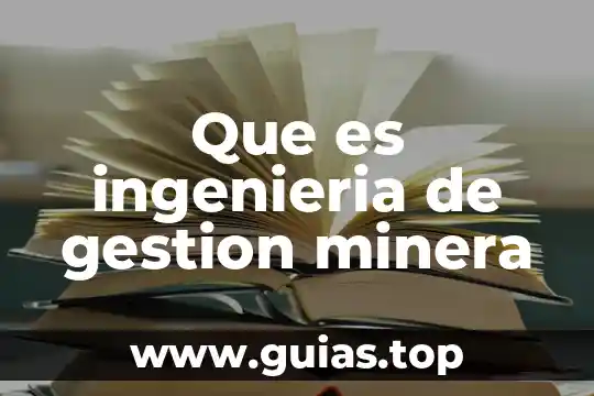 Que es principio de gestion de calidad 3 Que es ingenieria de gestion minera