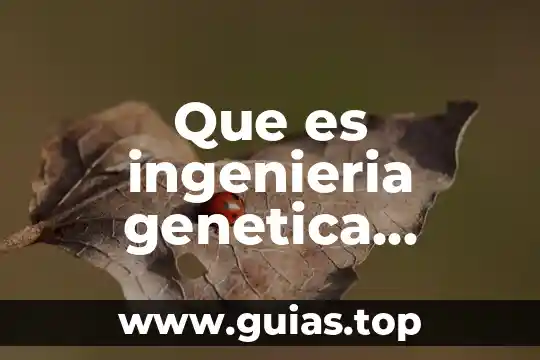 Que es la ingenieria de requerimientos de software 8 Que es ingenieria genetica humana y fecundacion