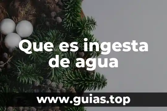 Que es el ciclo del agua biogeoquimico 5 Que es ingesta de agua