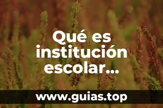 Qué es la enseñanza incidental en un servicio 5 Qué es institución escolar definición