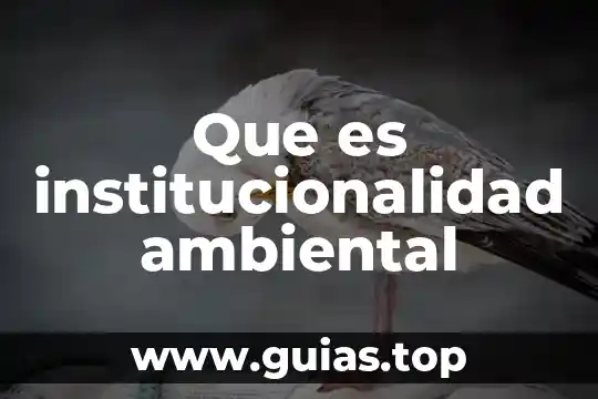 Que es ser afroamericano y afrodescendiente 8 Que es institucionalidad ambiental