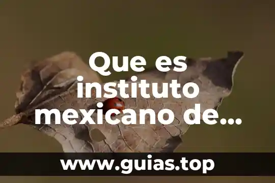 Qué es número exterior e interior de un domicilio 6 Que es instituto mexicano de comercio exterior imce