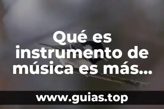 Qué es sustentabilidad definición fácil 8 Qué es instrumento de música es más fácil