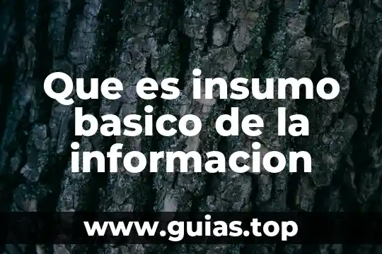 Que es valor posicional tercero basico 3 Que es insumo basico de la informacion