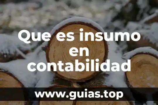 Qué es la auditoria y tipos 3 Que es insumo en contabilidad
