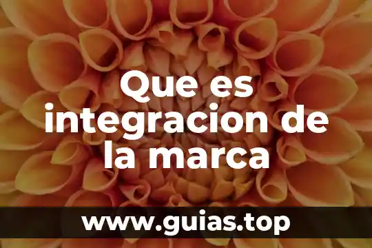 Que es la integración en una tesis 8 Que es integracion de la marca