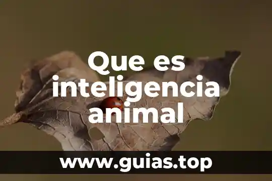 Que es una tusa animal 3 Que es inteligencia animal
