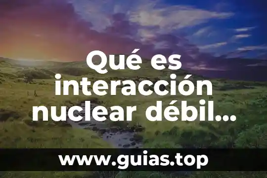 Que es ser debil visual 8 Qué es interacción nuclear débil en física