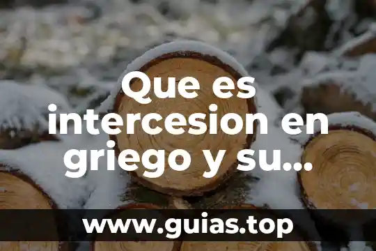 Qué es una función significado en matemáticas 5 Que es intercesion en griego y su significado