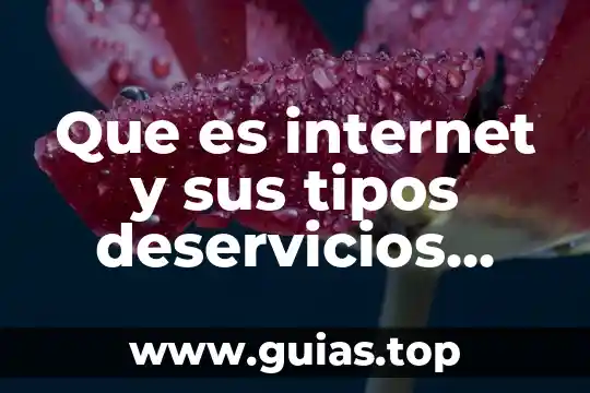 Qué es sinónimo y tipos 6 Que es internet y sus tipos deservicios queproporcionan
