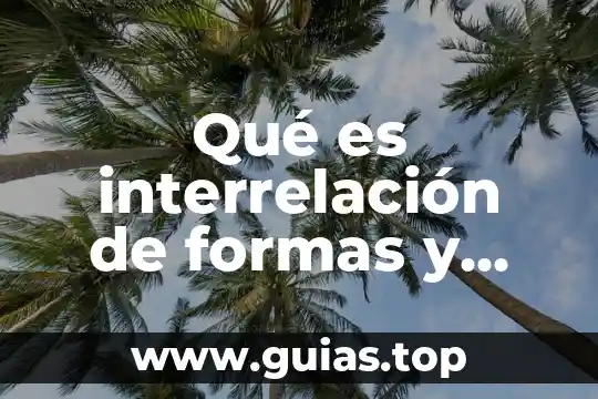 Que es un ensayo y cuantos tipos de ensayo hay 4 Qué es interrelación de formas y cuántos tipos hay