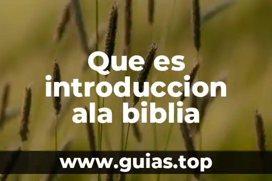 Que es la verdad de acuerdo a la biblia 4 Que es introduccion ala biblia
