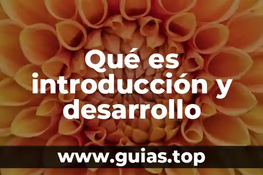 Que es el programa de desarrollo de habilidades del pensamiento 8 Qué es introducción y desarrollo