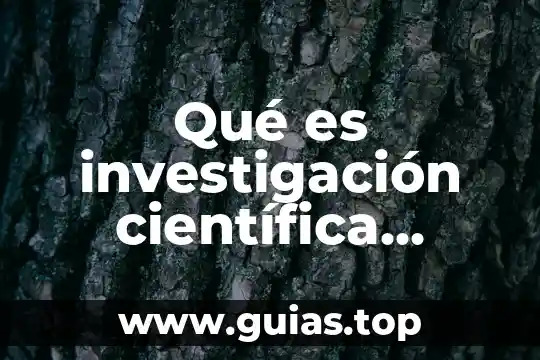 Qué es un problema definición por autores reconocidos 5 Qué es investigación científica según autores reconocidos