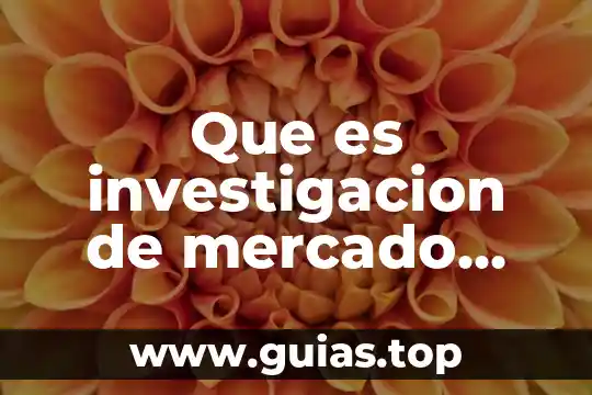 Que es primero en una investigacion cientifica 8 Que es investigacion de mercado concepto