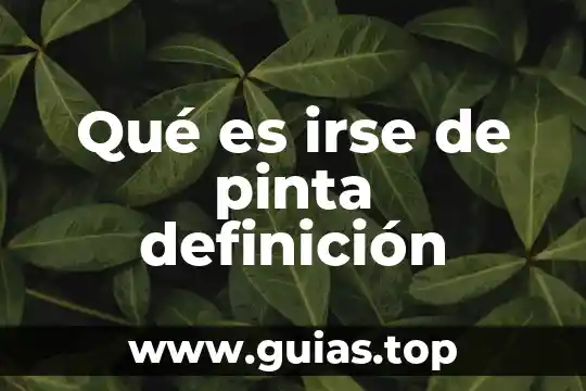 Qué es milímetro definición 5 Qué es irse de pinta definición