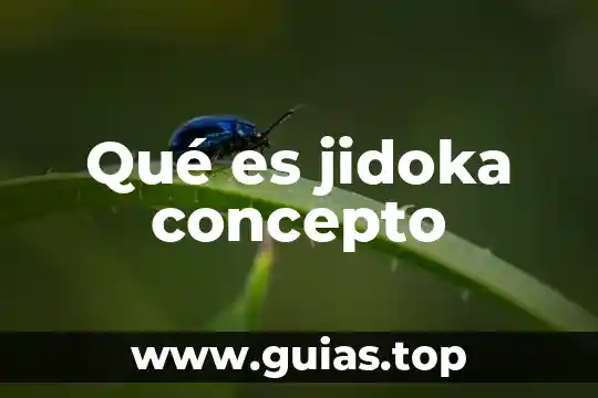 Qué es un concepto de flores 8 Qué es jidoka concepto