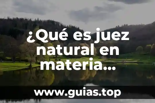 Que es la materia de modelo espiral 5 ¿Qué es juez natural en materia mercantil?