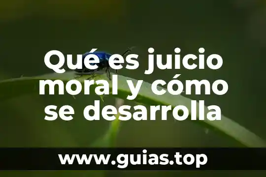 Firma electronica sat persona moral que es 3 Qué es juicio moral y cómo se desarrolla