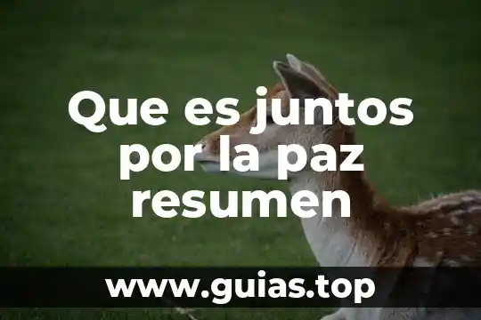 Que es la paz con justicia social 6 Que es juntos por la paz resumen