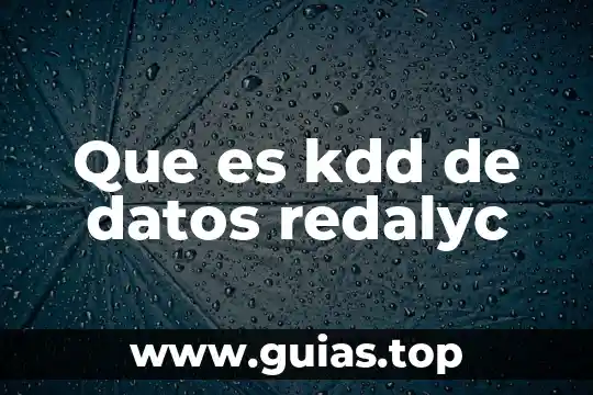 Que es un analisis e interpretacion de datos 6 Que es kdd de datos redalyc
