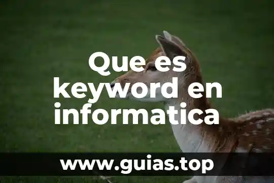 Que es la informatica en las redes 3 Que es keyword en informatica